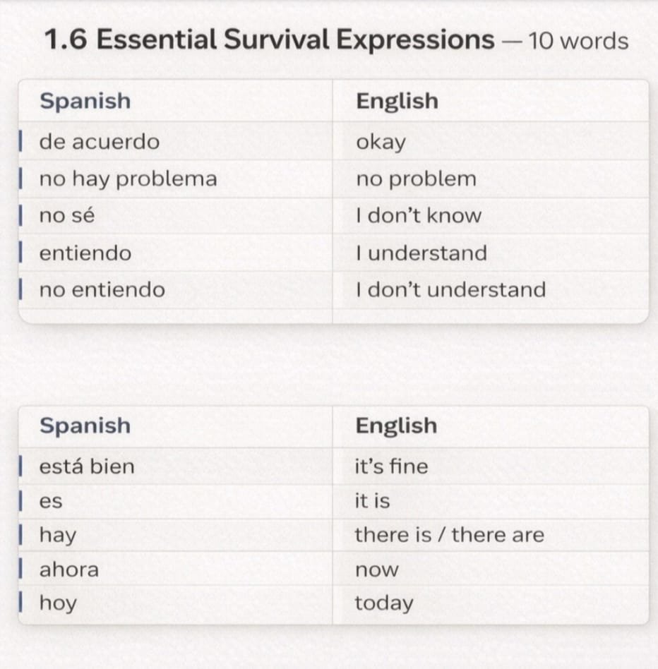 Spanish essential expressions sample